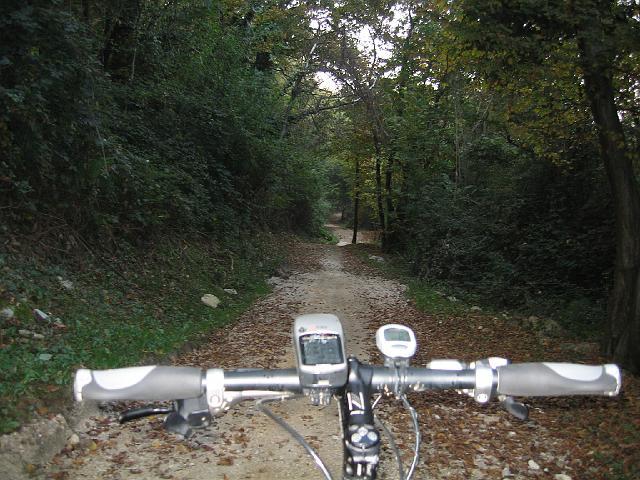 bici 046.JPG